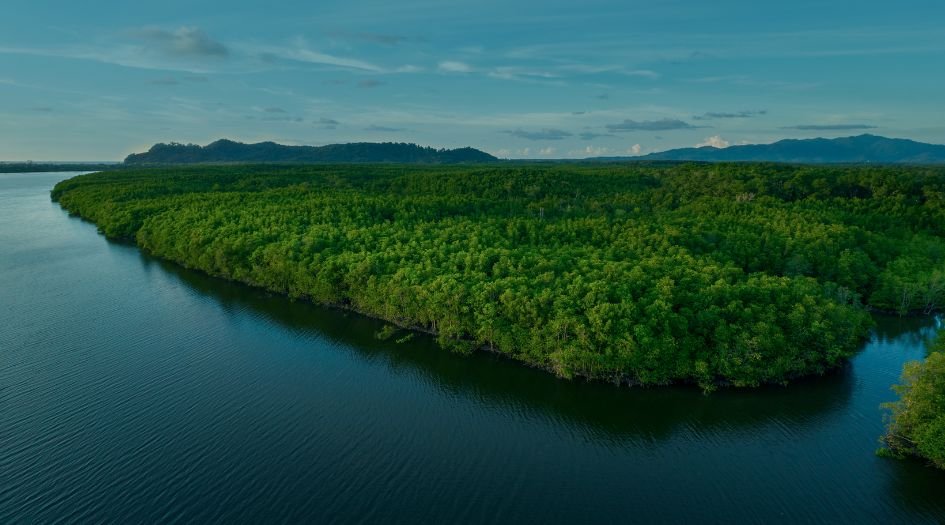 Delta-Celestria-View